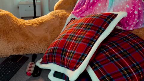 Joanna  Independent model. online show from November 16, 8:53 pm