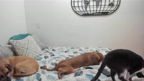 Isa online show from December 27, 5:52 am