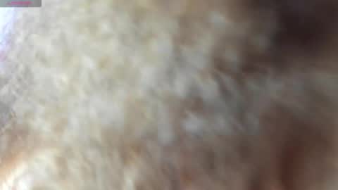 Isabela  online show from October 21, 2:26 am