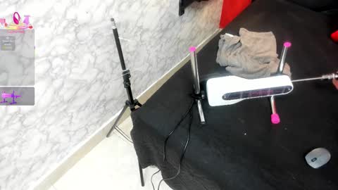 Ivis  online show from November 13, 12:04 pm