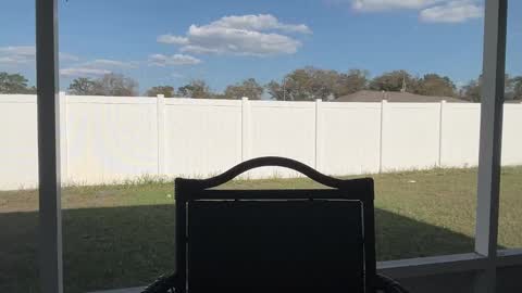 Jade Love online show from February 26, 8:57 pm