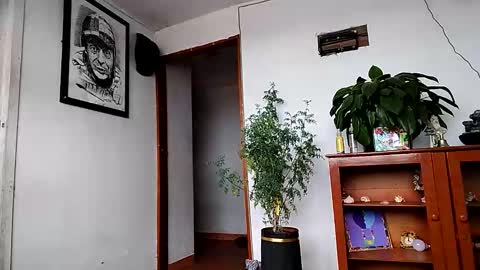 janariivera1 online show from November 18, 4:52 pm