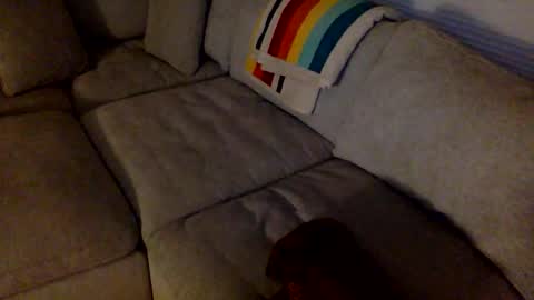 janicepepper online show from May 21, 8:56 am
