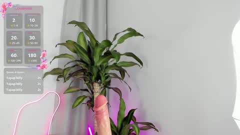 Tokio online show from November 1, 1:21 am