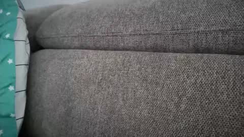 Jessye online show from October 22, 11:26 am