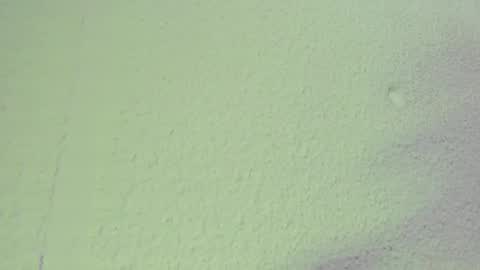 JESSY CORTES online show from February 23, 11:15 pm