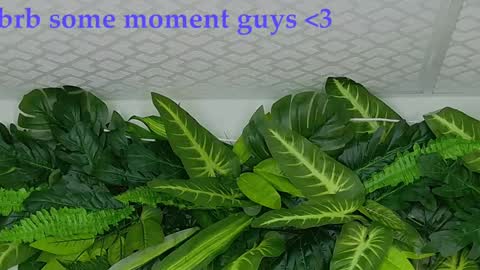 juani online show from October 16, 7:49 pm