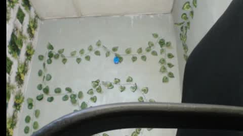 Mariagold online show from February 16, 2:21 pm