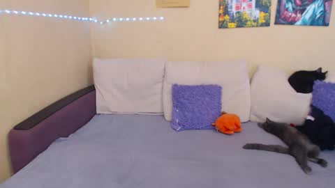 Snapshot of juliasane_ chatting on September 12, 2:02 pm Jul online show from September 12, 2:02 pm