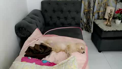 Kate online show from September 21, 8:24 am