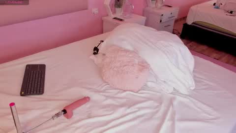 Katta online show from October 10, 1:16 pm