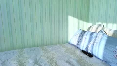 Catherine online show from February 26, 6:40 am