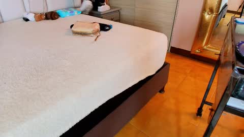    N         M online show from February 14, 11:31 am