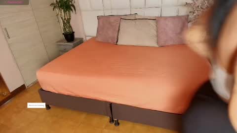    N         M online show from February 26, 11:32 am