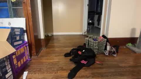 Astra online show from December 4, 6:48 am