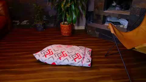 Tamara Bela     your favorite lover  from Colombia online show from July 22, 9:16 pm