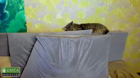 Kira  online show from November 15, 8:32 pm