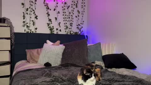 Kaitie online show from December 16, 11:12 am