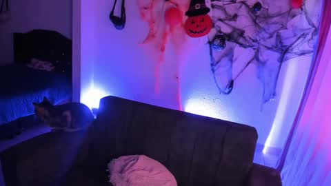 kitty__chs online show from November 15, 1:23 pm