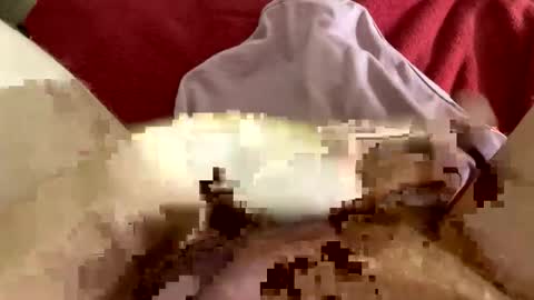 kittyneedsherdaddy online show from March 20, 10:31 am