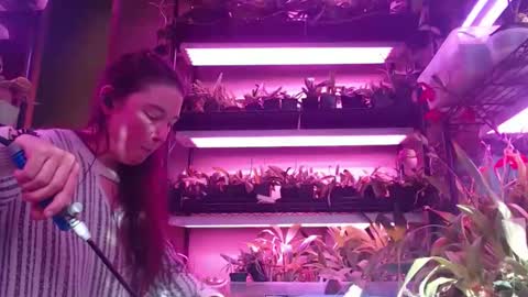 krookedorchid online show from October 25, 4:25 pm