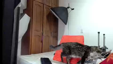 LACI LOST online show from September 16, 12:07 am