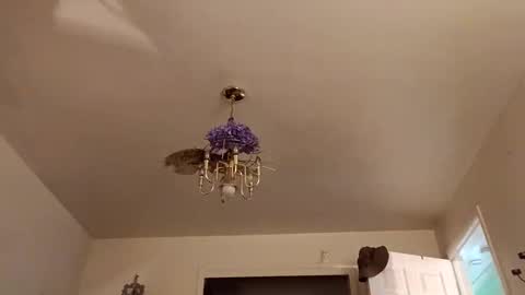 Snapshot of lacybell chatting on October 3, 6:29 am lacybell online show from October 3, 6:29 am