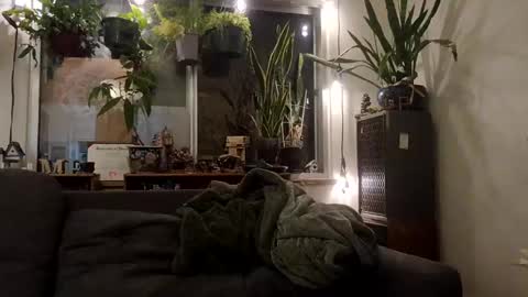 Snapshot of lacybell chatting on September 16, 2:19 am lacybell online show from September 16, 2:19 am