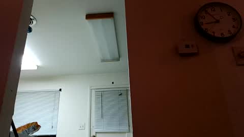 Snapshot of lacybell chatting on January 14, 2:50 am lacybell online show from January 14, 2:50 am