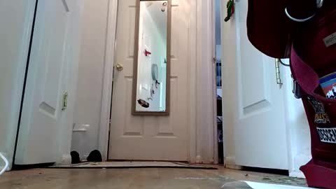 Snapshot of lacybell chatting on January 8, 2:14 am lacybell online show from January 8, 2:14 am