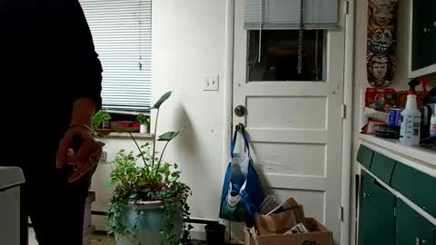 Snapshot of lacybell chatting on February 15, 5:19 am lacybell online show from February 15, 5:19 am