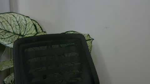 sexylila online show from July 29, 12:27 pm