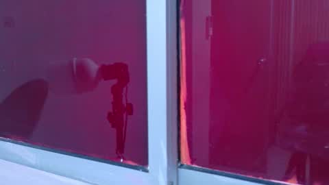 Laura online show from November 25, 12:07 pm