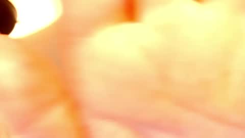 Snapshot of leadesire chatting on February 17, 7:47 am LEA online show from February 17, 7:47 am