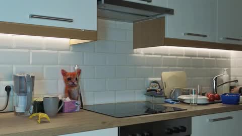 Alexandria online show from November 8, 9:20 pm