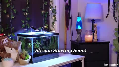 Snapshot of lex_taylor chatting on January 9, 3:04 am Lex online show from January 9, 3:04 am