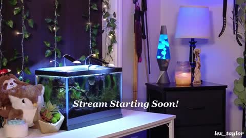 Snapshot of lex_taylor chatting on January 8, 3:19 am Lex online show from January 8, 3:19 am