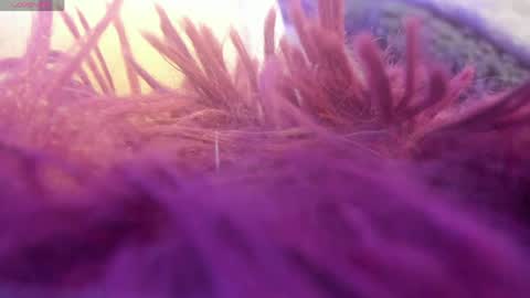 lilirouse online show from April 22, 10:12 am