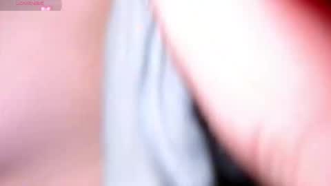 lime cat online show from September 20, 1:05 am