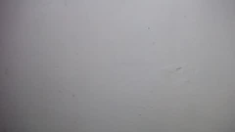 lisa_branch online show from December 18, 10:53 am