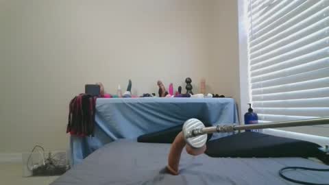 LIVEY LOVES online show from November 14, 7:14 pm