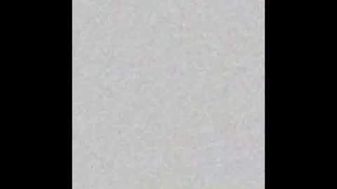 Lola online show from October 13, 8:17 am