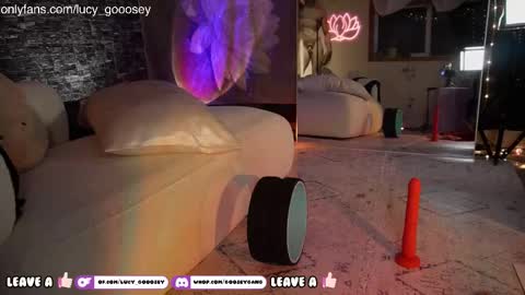 Lucy. online show from January 12, 5:34 am