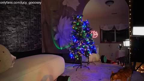 Lucy. online show from December 16, 7:03 am