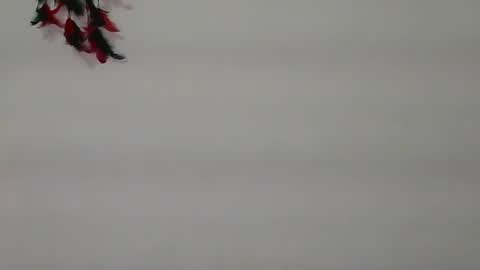 magic door open online show from December 1, 9:57 am