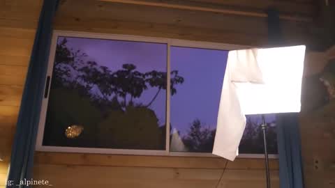 Alfonsina online show from December 14, 10:59 pm