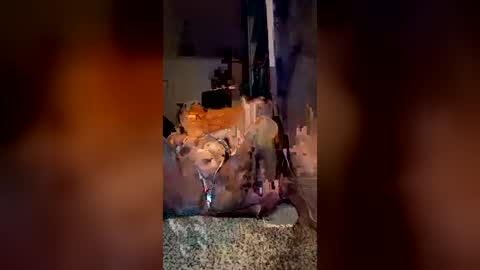 maryaron14 online show from July 24, 10:28 pm