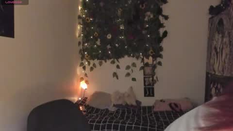 maria online show from December 15, 7:52 pm