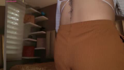     online show from November 14, 12:16 pm