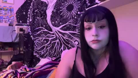 meowleila online show from September 24, 9:52 am